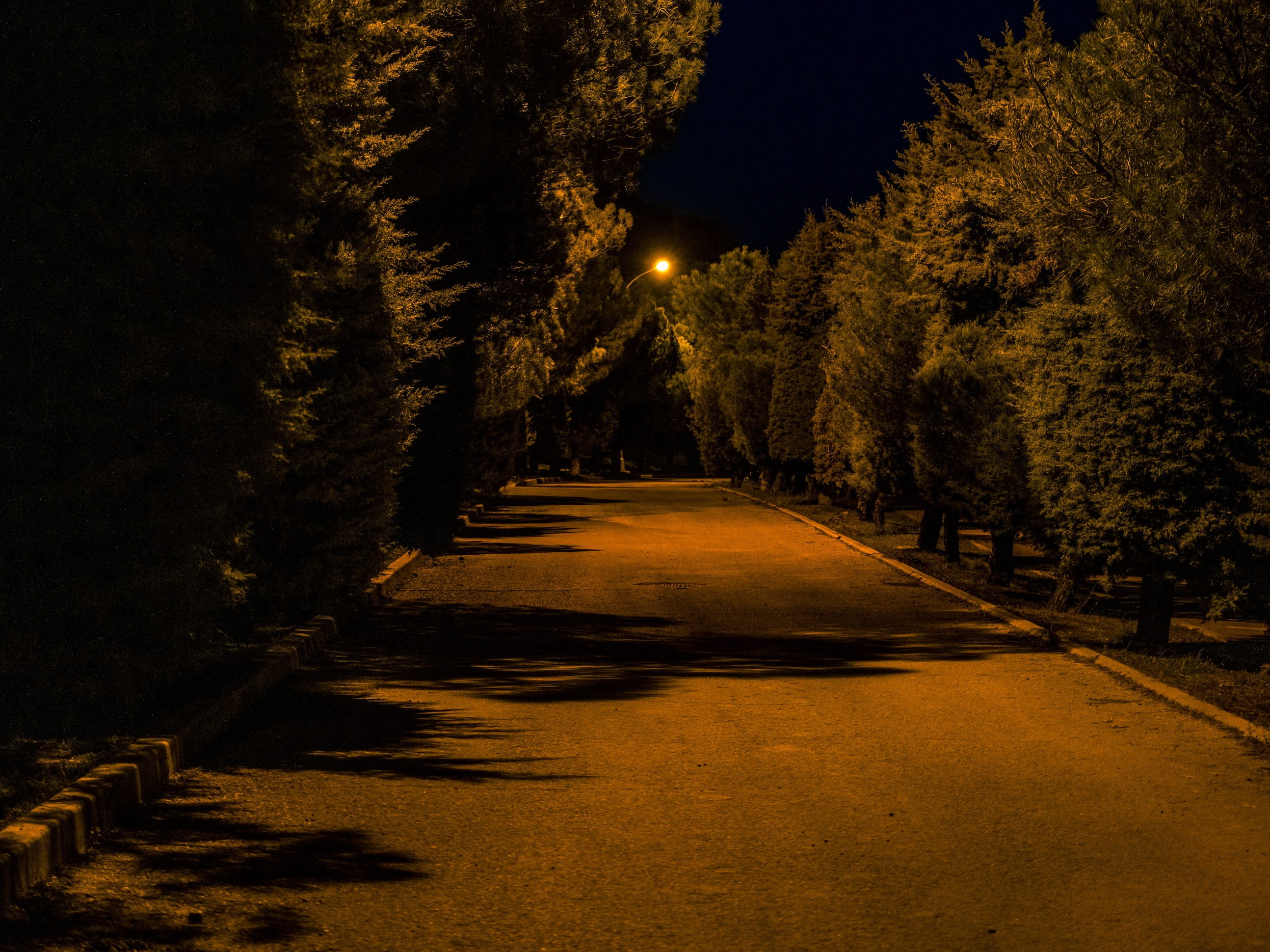 Running: Meditation on Steroids